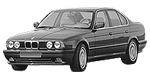 BMW E34 P004D Fault Code